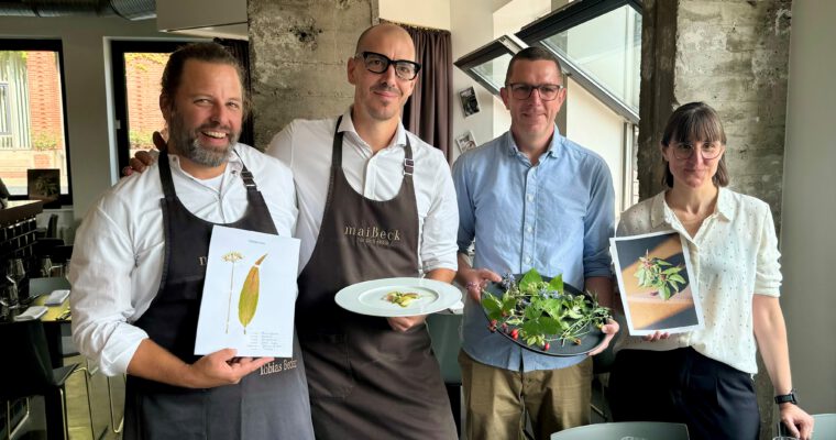 Kräutersammeln in Köln: Das Herbarium